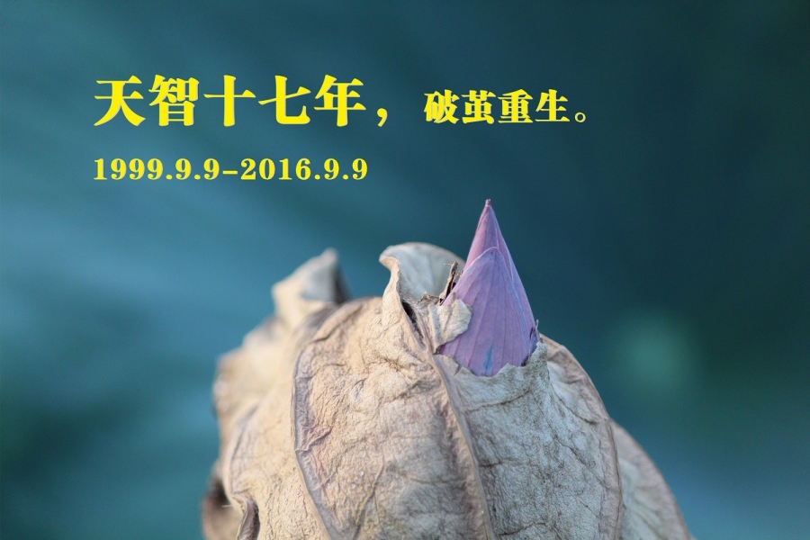 天智十七年，破繭重生。
