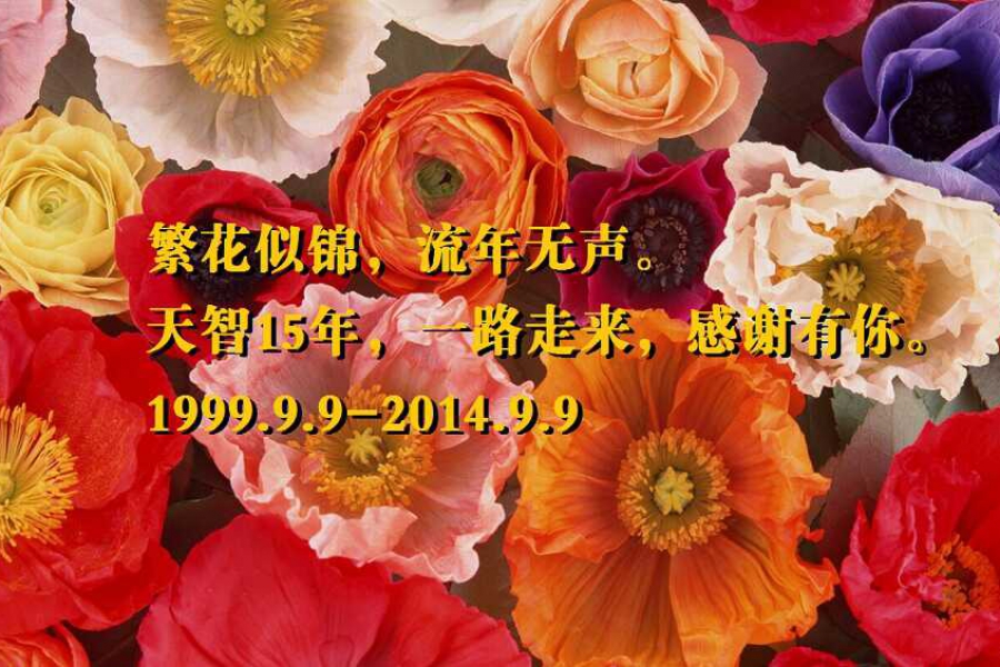 天智十五年，一路走來，感謝有你。
