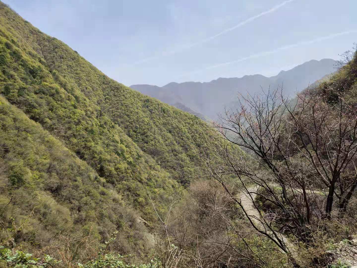 團建，春到老縣城。(圖2)