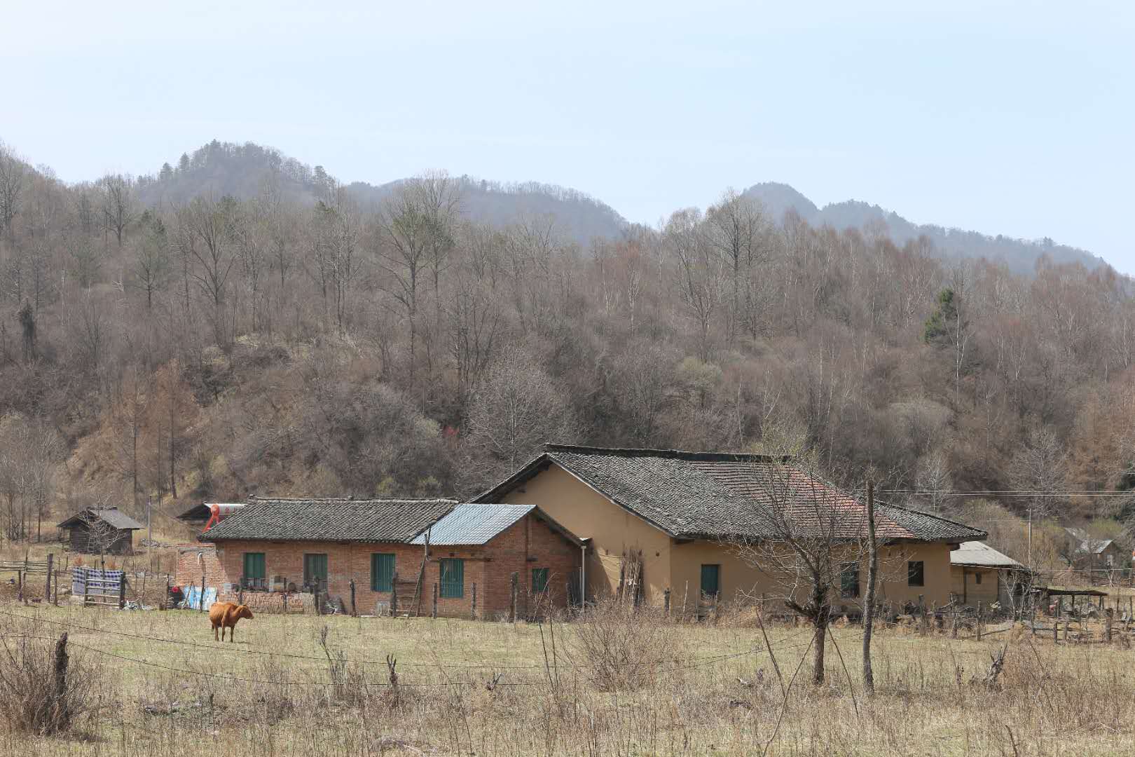 團建，春到老縣城。(圖12)